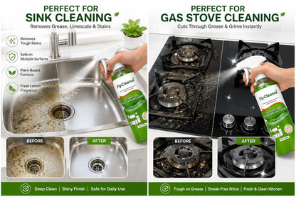 Fly Cleanse Kitchen Cleaner Spray (BUY 1 GET 1 FREE!!)
